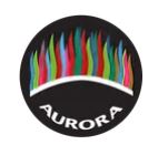 Aurora-Disability.jpg